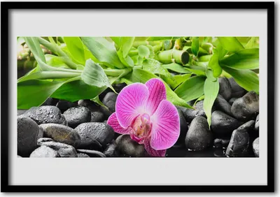 Produktbild von Bild 70x50 MDF-Rahmen Wandkunst Orchideen-Blumen-Pflanze