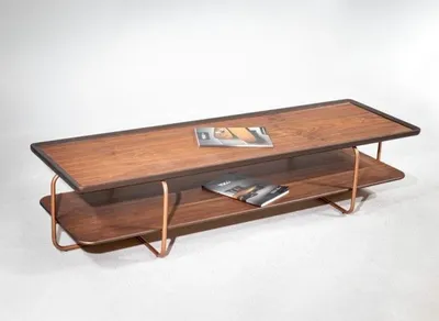 Image de Table basse en bois marron pour salon Pieds en acier inoxydable Table de salon élégante