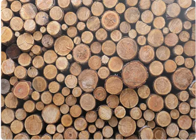 Obrázek produktu pro Stoh Kulatiny– Ochranná podložka na podlahu – Podložka pod židli – 140x100 cm – Protiskluzová podložka na tvrdé podlahy