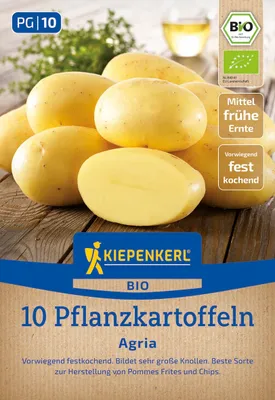 Produktbild von Kiepenkerl Pflanzkartoffel Agria Solanum tuberosum 10 Stück
