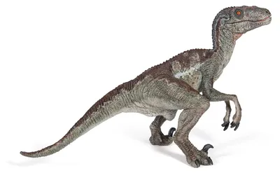 Produktbild von Papo Velociraptor, 0,8 Jahr(e), Dinosaurier, Grau, PVC