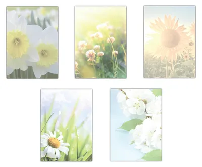 Produktbild von 5 x 5 Blatt im Set Briefpapier Mix DIN A4 Blumen Blüten (MPA-5233) Narzissen Wiese mit Klee Sonnenblume Margeriten Aprikosenblüten Motivpapier