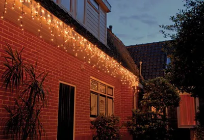 Productafbeelding van Warentuin-producten