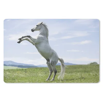 Produktbild von MuchoWow® Mauspad Mousepad Pferd - Aufzucht - Natur 27x18 cm - Mousepads - Maus Mat - Pad - Mausunterlage - Büroartikel - Desk Matten