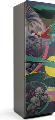 Produktbild von Tropisches Papageienmuster – Magnetische Kühlschrank Abdeckung – Dekorfolie magnetisch Küche – Kühlschrank Magnet Deko – selbstklebende Magnettafel – Magnetfolie für Kühlschranktür – 60x205 cm