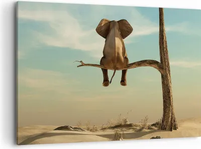 Produktbild von Bild auf Leinwand - Leinwandbild - Einteilig - Elefant sitzend Ast - 120x80cm - Wand Bild - Wanddeko - Wandbilder - Leinwanddruck - Bilder - Wanddekoration - Leinwand bilder - Wandbild - AA120x80-4557