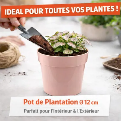 Image de Mini Pot de Plantation en Plastique – 12 cm