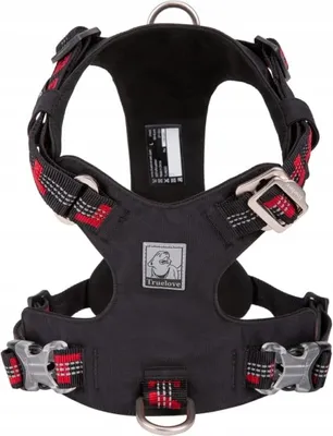 Immagine prodotto di LEICHTES Adventure Dog TRUELOVE XS Geschirr
