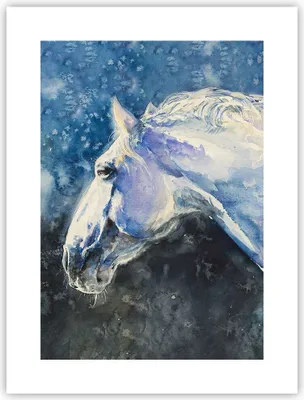 Produktbild von Poster - Poster ohne Rahmen - Pferd Aquarell Porträt - 30x40 cm - Wand Bild - Wanddeko - Wandbilder - Kunstposter - Wandposter - Bilder - Kunstdruck - Wanddekoration - Wandbild - P2XPA30x40-4272