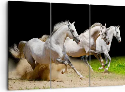 Produktbild von Bild auf Leinwand - Leinwandbild - Pferde Sand Gras - 105x70cm - Wand Bild - Wanddeko - Wandbilder - Leinwanddruck - Bilder - Kunstdruck - Wanddekoration - Leinwand bilder - Wandkunst - CE105x70-0175