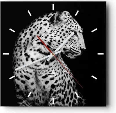 Produktbild von Wanduhr - Quadrat - Glasuhr - Leopard Panther Katze - 30x30cm - Schleichendes Uhrwerk - Lautlos - zum Aufhängen bereit - Dekoration Modern - Wanddekoration aus Glas - C3AC30x30-4919