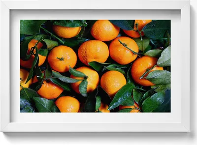 Produktbild von Reife italienische Orangen– Wandbild mit Rahmen – Gerahmtes Bild  – Wanddekoration – 30x20 cm –  Weiß Rahmen