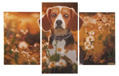 Image de Set de peinture au diamant - Hond
