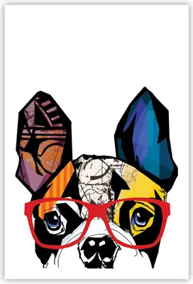 Produktbild von Poster - Poster ohne Rahmen - Hund Brille Bunt Bulldogge - 61x91,5 cm - Wand Bild - Wanddeko - Wandbilder - Kunstposter - Wandposter - Bilder - Kunstdruck - Wanddekoration - Wandbild - P2XPA61x91-3206