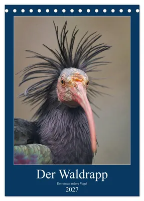 Produktbild von Der Waldrapp - Der etwas andere Vogel (Tischkalender 2027 DIN A5 hoch), CALVENDO Monatskalender