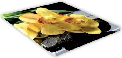 Zdjęcie produktu dla SZKLANA DESKA KUCHENNA 30x30 435f Żółta orchidea