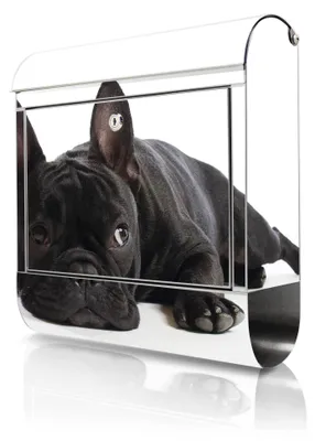 Produktbild von banjado Edelstahl Briefkasten mit Zeitungsfach mit Motiv Bulldogge großer Design Postkasten rostfrei, A4 Einwurf [BKGE2 10004]