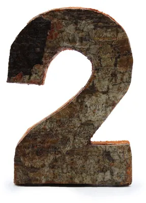 Produktbild von Rindenabschnitt, rustikal – "2" (12) – Klein, 7 cm