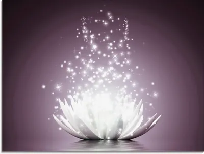 Produktbild von Vadim Georgiev: Magie der Lotus-Blume violett - Glasbild, Größe:60x80 cm / Glasbild