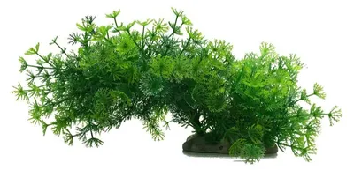 Immagine prodotto di Set di piante artificiali - Decorazioni per acquario - 2 pezzi