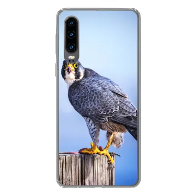 Produktbild von MuchoWow® Handyhülle Schutzhülle Hülle für Huawei P30 Nahaufnahme eines Raubvogels auf einer dicken Holzstange Silikon Softcase Handy Hülle - Kartenbesitzer