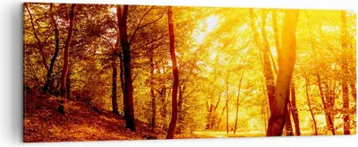 Produktbild von Bild auf Leinwand - Leinwandbild - Wald Baum Natur - 140x50cm - Wand Bild - Wanddeko - Wandbilder - Leinwanddruck - Bilder - Kunstdruck - Wanddekoration - Leinwand bilder - Wandkunst - AB140x50-3722