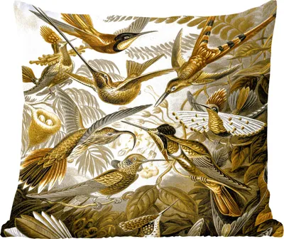 Produktbild von MuchoWow® Zierkissen Sofakissen Wohnzimmer Dekokissen 50x50 cm Trochilidae - Ernst Haeckel - Gold - Komfort - Sofakissen