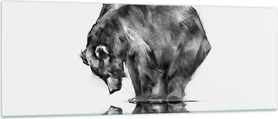 Produktbild von Bilder auf glas - Bär Tier - 140x50cm - Glasbilder - Wandbilder - Bilder - Kunstdruck - zum Aufhängen bereit - Wanddekoration aus Glas - Glas Bilder - Wandbild auf Glas - Einteilig - GAB140x50-3921