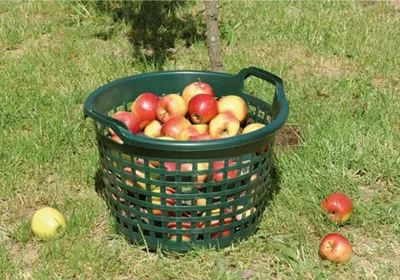 Produktbild von floraworld Gartenkorb 15kg rund