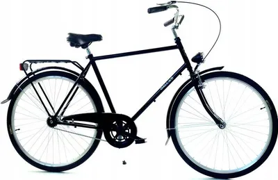 Zdjęcie produktu dla Rower Dallas Holland City 28" 1spd Męski - czarny