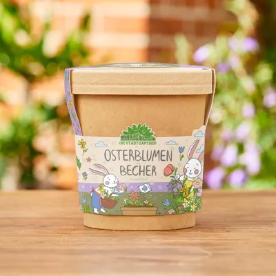 Produktbild von Blümchen aus dem Becher - Anzuchtset für Frühlingsblumen - Nachhaltiges