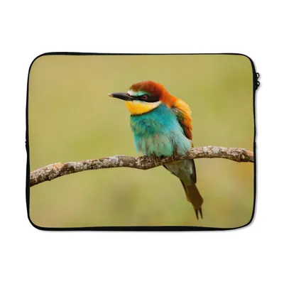 Produktbild von MuchoWow® Laptop Hülle 17 Zoll Laptoptasche Vogel - Bienenfresser - Tiere - Zipper - Schutzabdeckung