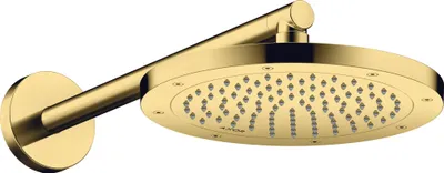 Immagine prodotto di hansgrohe AXOR ShowerSolutions bras de douche 390mm, 26431990, 26431990