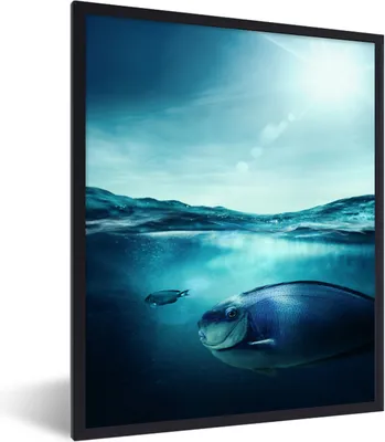 Produktbild von MuchoWow® MuchoWow® Gerahmtes Poster Fisch - Meer - Blau 30x40 cm - Poster mit zchwarzem Bilderrahmen - Wanddeko - Kunstdrucke