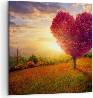 Produktbild von Bild auf Leinwand - Leinwandbild - Baum Wiese Blume - 50x50cm - Wand Bild - Wanddeko - Wandbilder - Leinwanddruck - Bilder - Kunstdruck - Wanddekoration - Leinwand bilder - Wandkunst - AC50x50-3790