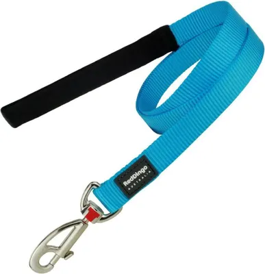 Produktbild von Hundeleine Red Dingo türkis (2.5 x 120 cm)