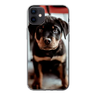 Produktbild von MuchoWow® Handyhülle Schutzhülle Hülle für iPhone 12 mini Jung - Hund - Kamera Silikon Softcase Handy Hülle - Bild