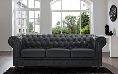 Image de Chesterfield Canapé Rembourré Canapé Classique en cuir Schaffhau 3 places - 276