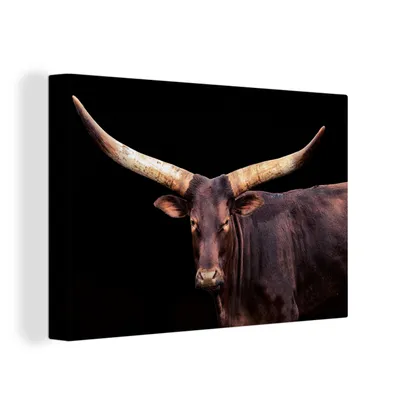 Obrázek produktu pro OneMillionCanvasses® Malba na plátně Nástěnná malba na plátně - Kráva - Watussi - černá - 150x100cm