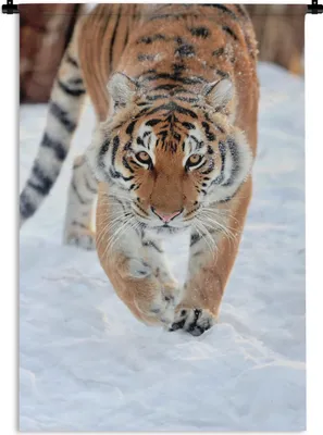 Produktbild von MuchoWow® Wandteppich Wandbehang Tiger - Schnee - Tiere 90x135 cm Tapisserie Dekoration Wandtuch - Baumwolle - Wandskulptur