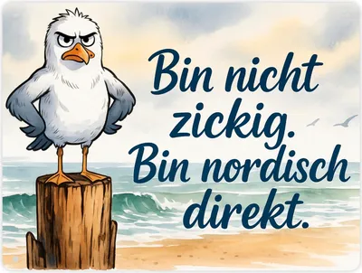 Produktbild von Möwe am Strand Metallschild XL in 21x28 cm mit nordischem Humor