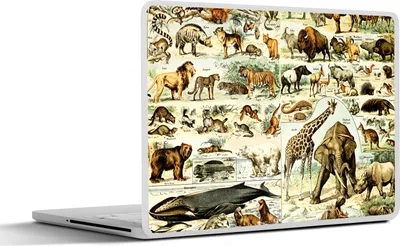 Produktbild von MuchoWow® Laptop Aufkleber Sticker Cover Tiere - Giraffe - Löwe 40x30 cm - Laptop Dekoration - Selbstklebend