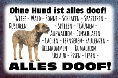 Produktbild von vianmo Holzschild 12x18 cm ohne Hund ist alles doof Tier Haustier