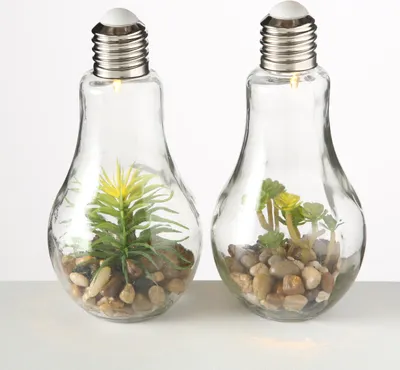 Produktbild von LED Tischleuchte mit Pflanze Ø 11 cm H 23 cm Glas 2-er Set