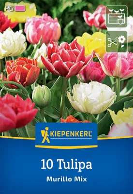 Produktbild von Kiepenkerl Gefüllte Frühe Tulpe Murillo Mix Tulipa hybrids 10 Zwiebeln