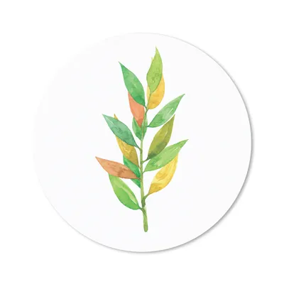 Produktbild von MuchoWow® Mauspad Mousepad Aquarelle - Blätter - Pflanzen 50x50 cm - Mousepads - Maus Mat - Pad - Mausunterlage - Vinyl