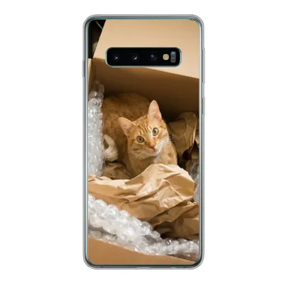 Produktbild von MuchoWow® Handyhülle Schutzhülle Hülle für Samsung Galaxy S10 Katze - Box - Rot Silikon Softcase Handy Hülle - Handytasche