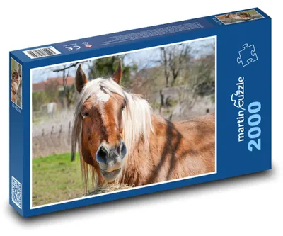 Obrázok produktu pre martinpuzzle - Puzzle 2000 - Kôn