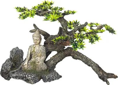 Produktbild von Aqua Ornaments "BUDDHA" mit Pflanzen 32,5 x 16,5 x 21,0  cm