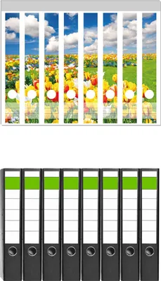 Produktbild von Wallario 8 Stück schmale Ordner inkl. Klebeetiketten mit Motive Tulpenwiese unter blauem Himmel -  Set mit Rückenschildern / Ordnerrücken Stickern